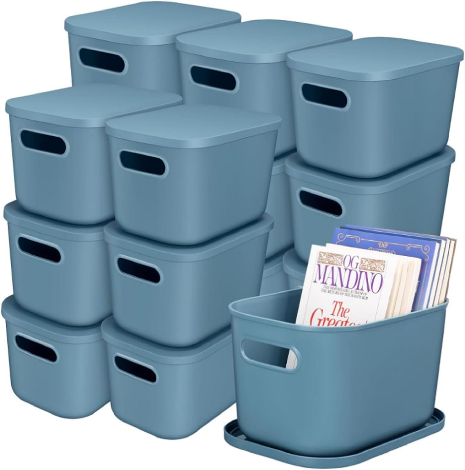 Plastic Storage Bins review